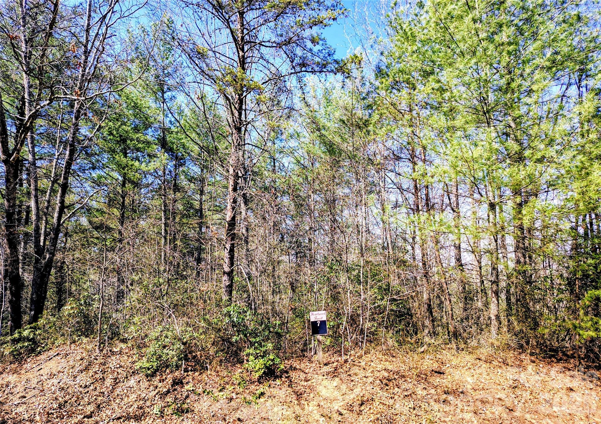 10 Acres Tahoe Trail Collettsville NC 28611