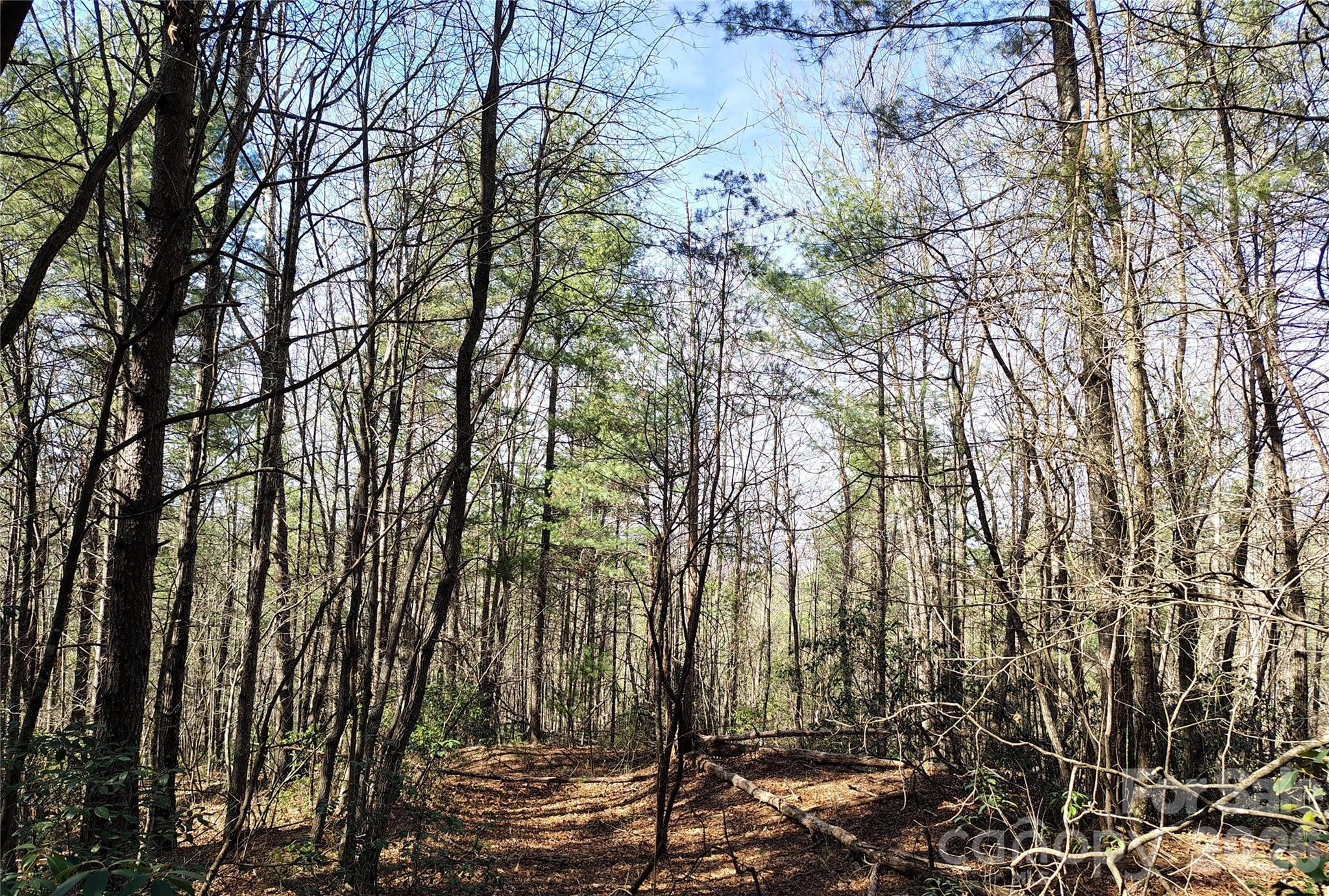 10 Acres Tahoe Trail Collettsville NC 28611