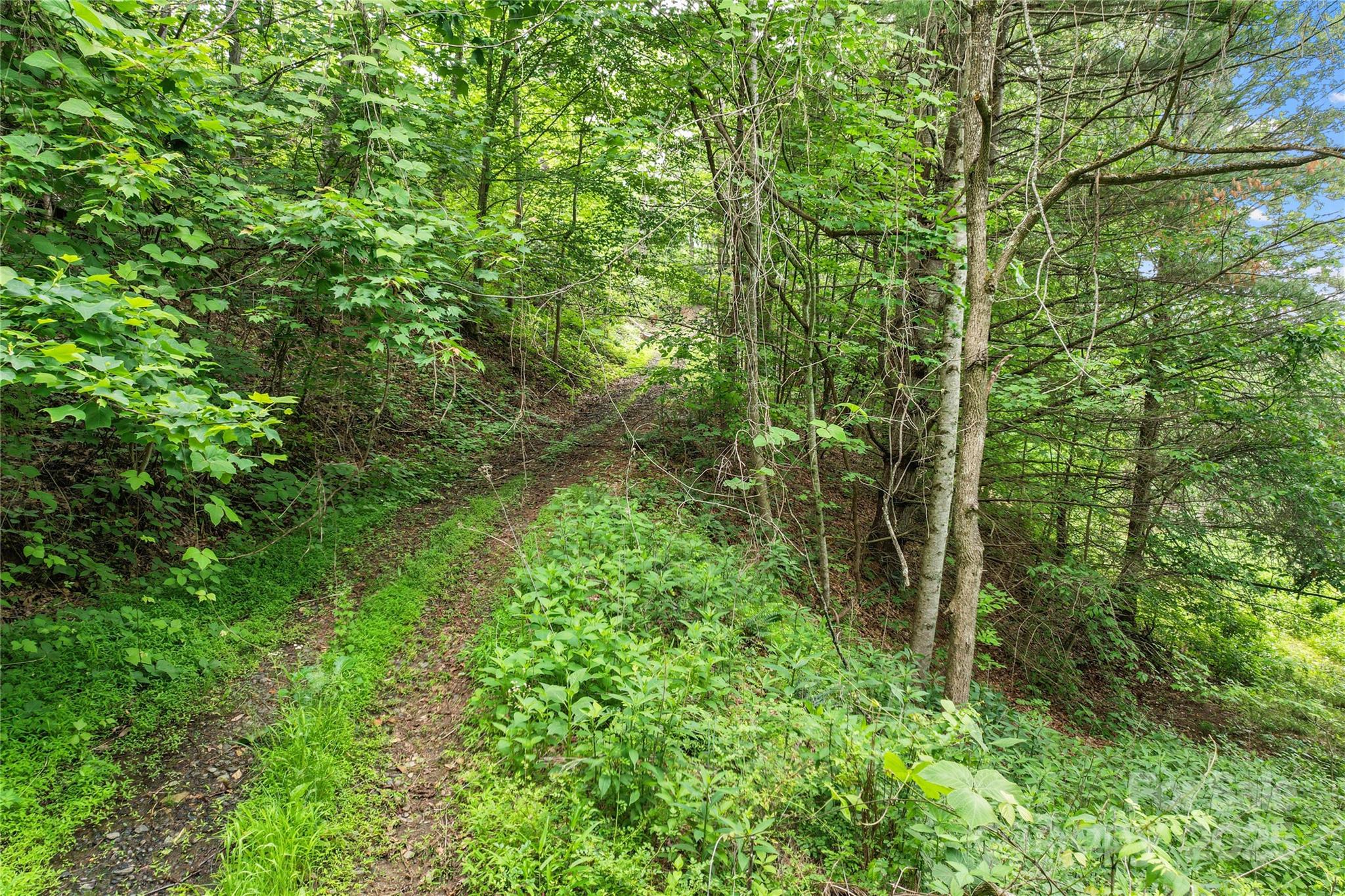 X Bee Branch Road Bakersville NC 28705
