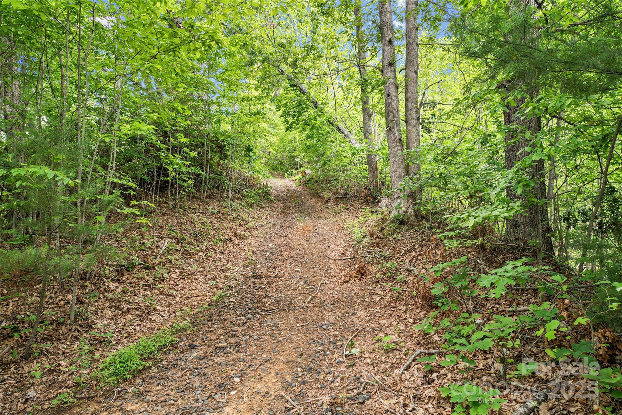 X Bee Branch Road Bakersville NC 28705