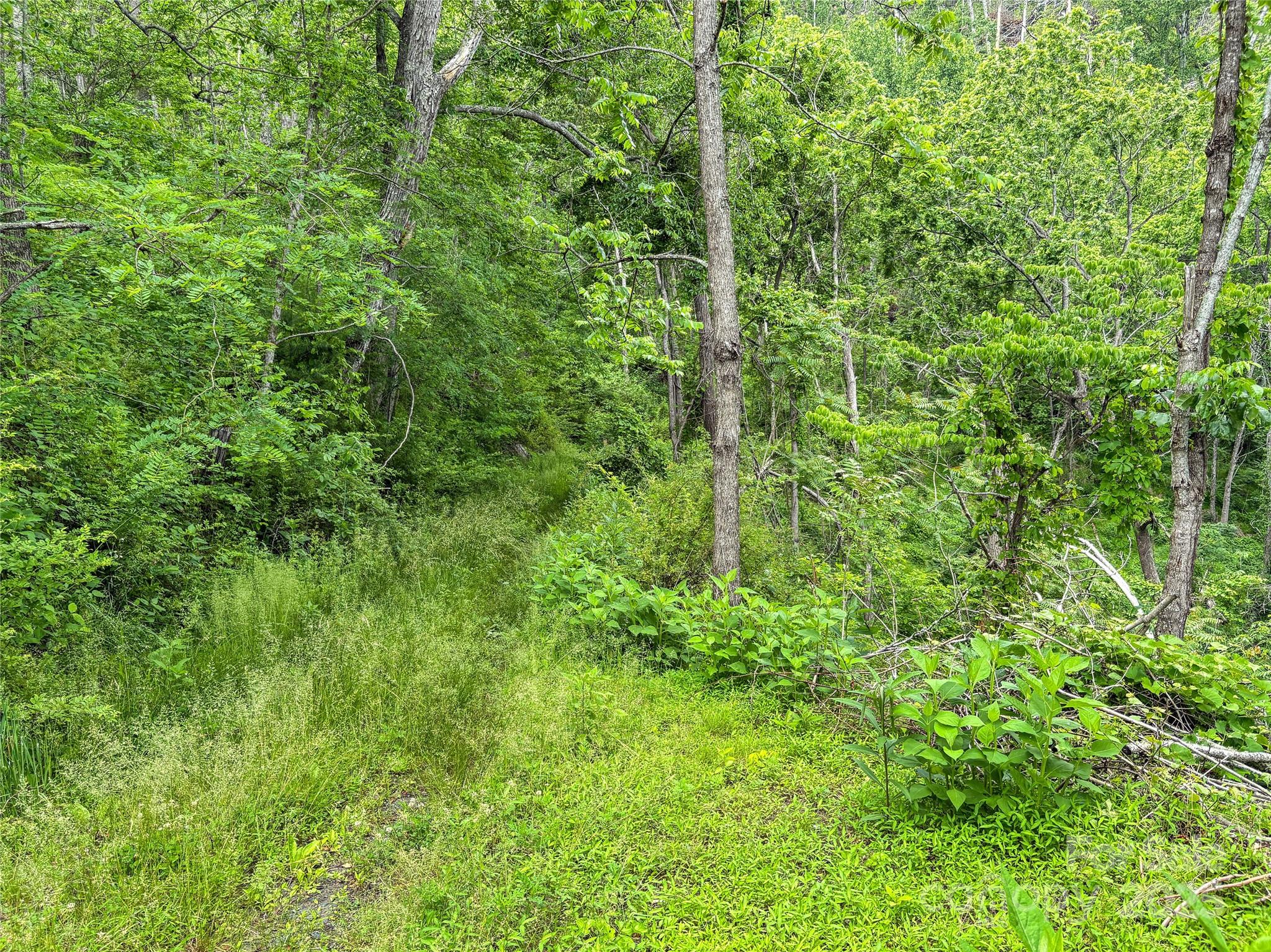 X Bee Branch Road Bakersville NC 28705