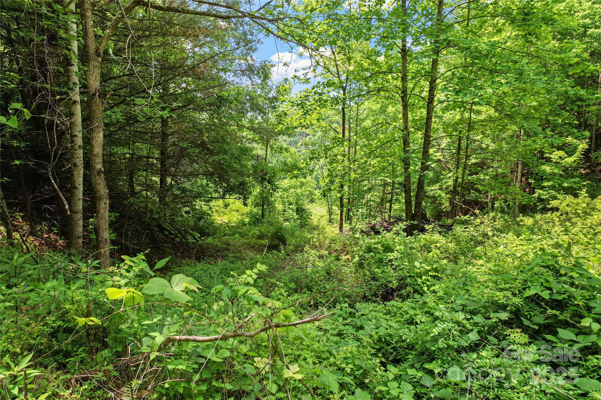 X Bee Branch Road Bakersville NC 28705