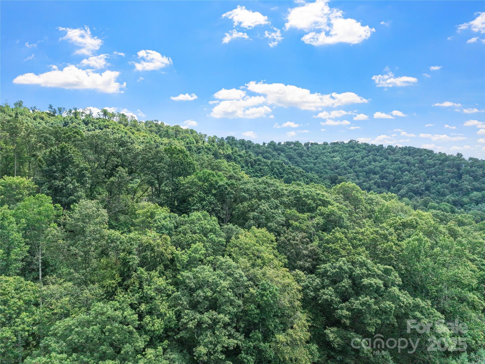 X Bee Branch Road Bakersville NC 28705