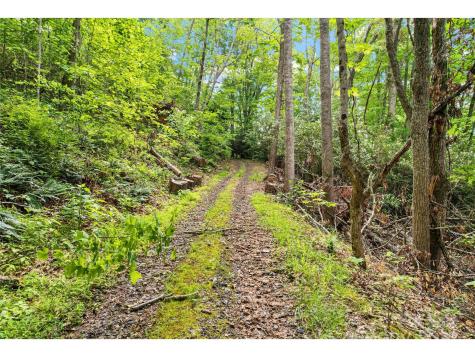 X Bee Branch Road Bakersville NC 28705