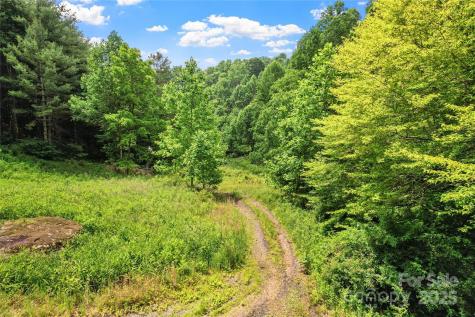 X Bee Branch Road Bakersville NC 28705