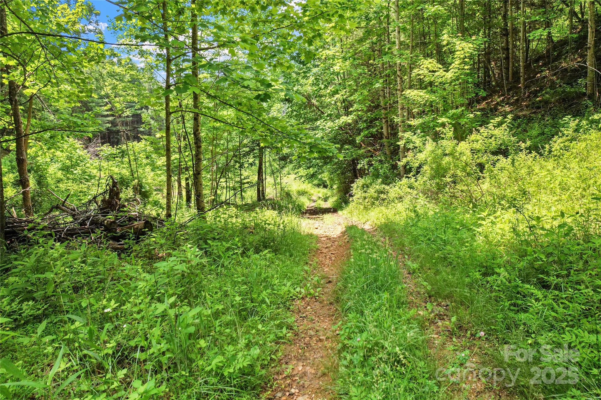 X Bee Branch Road Bakersville NC 28705