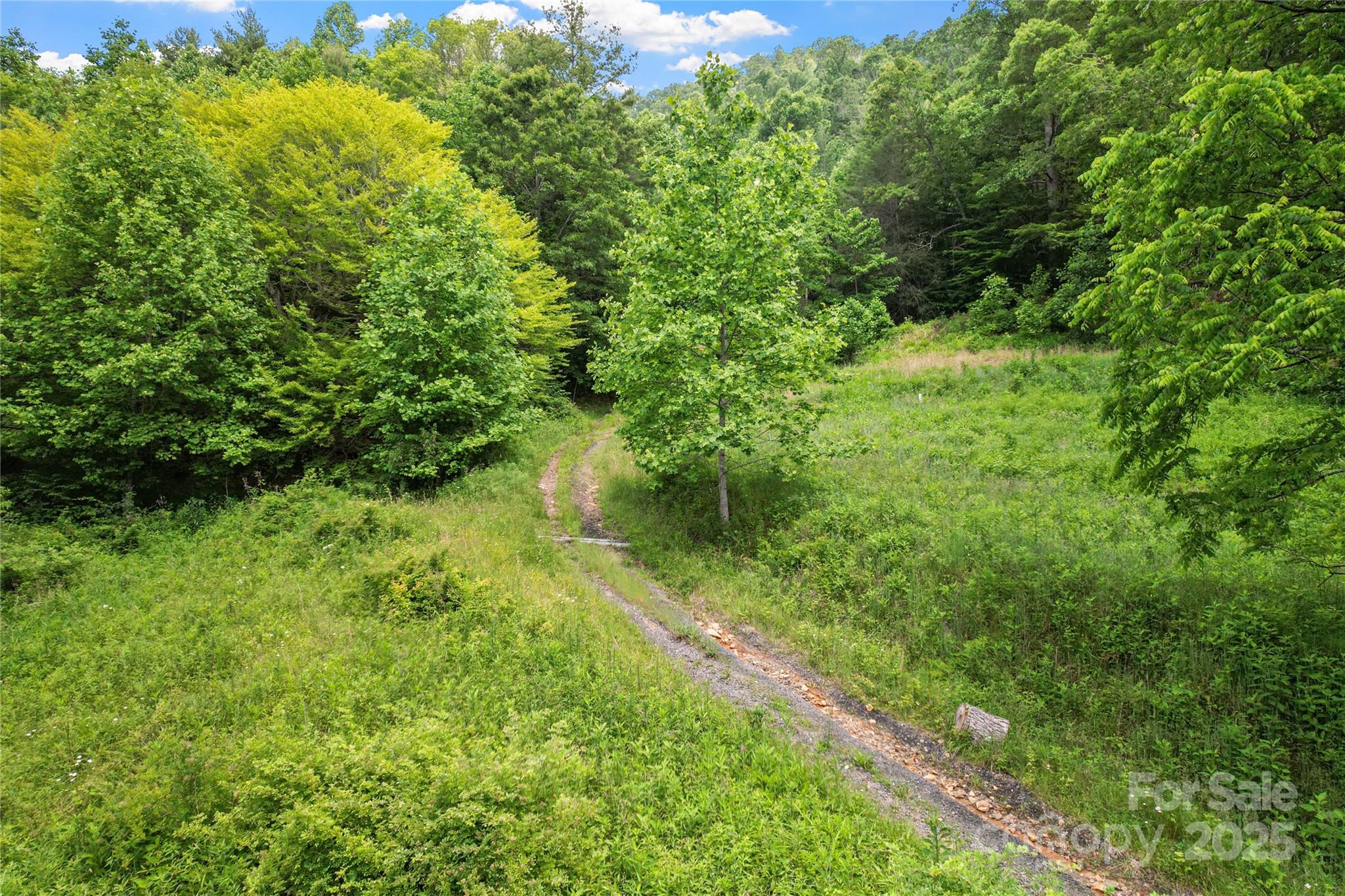 X Bee Branch Road Bakersville NC 28705