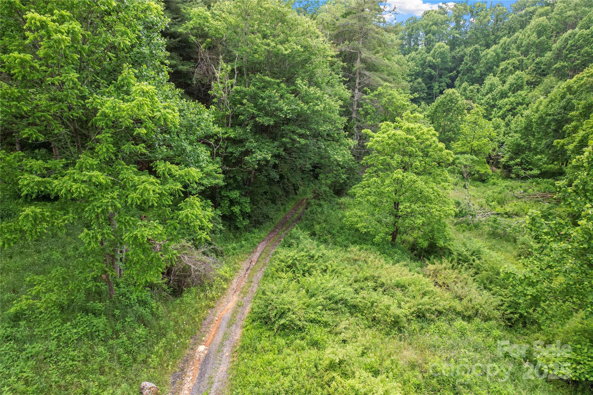 X Bee Branch Road Bakersville NC 28705
