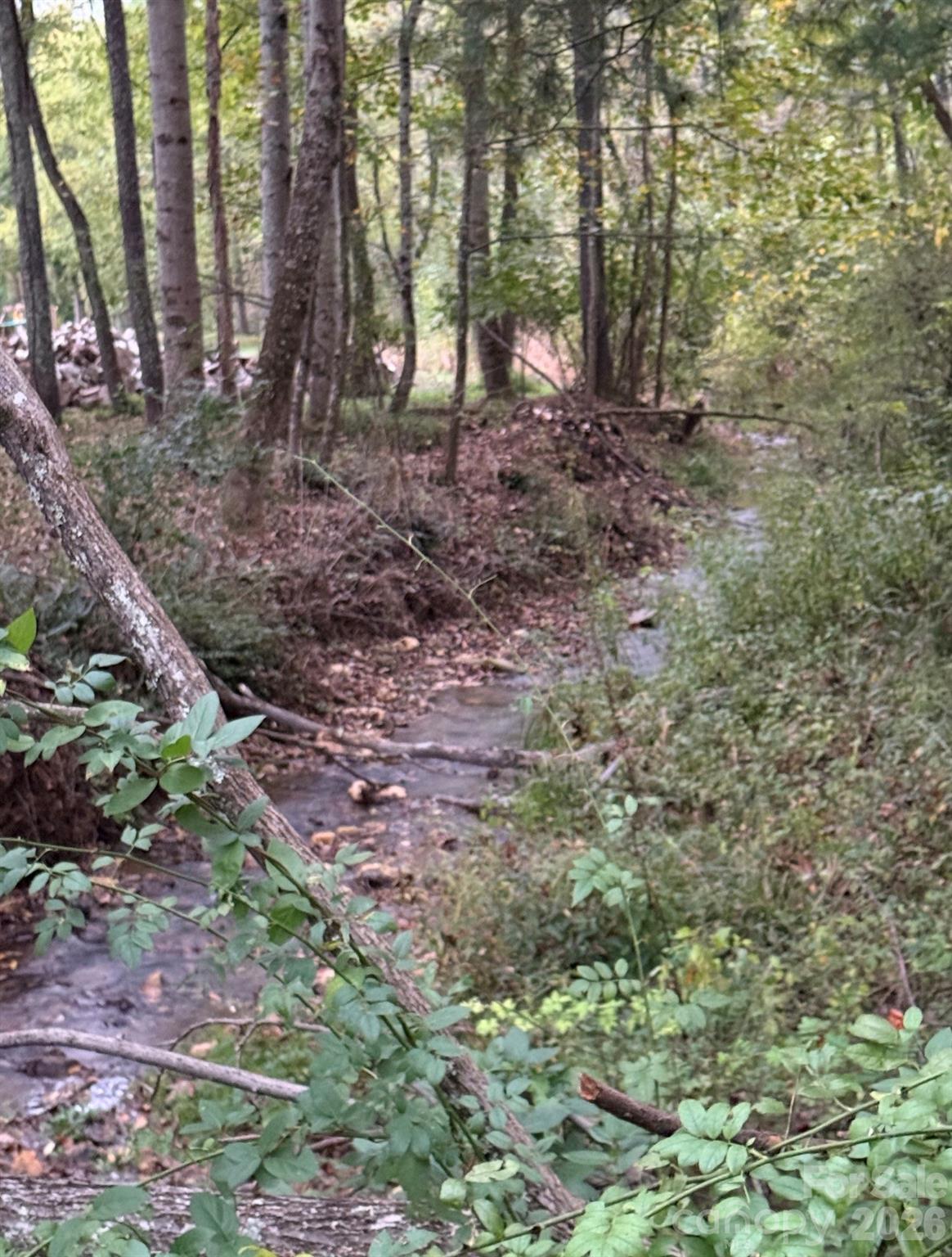 00000 Worley Cove Road Canton NC 28716