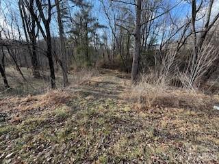 00000 Worley Cove Road Canton NC 28716