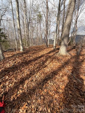00000 Worley Cove Road Canton NC 28716