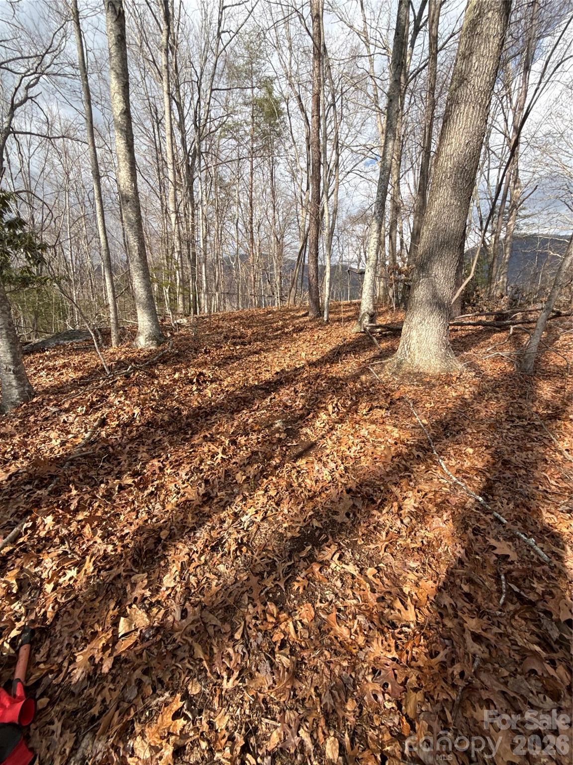 00000 Worley Cove Road Canton NC 28716