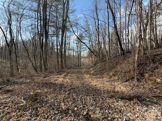 00000 Worley Cove Road Canton NC 28716