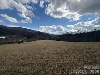 00000 Worley Cove Road Canton NC 28716