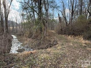 00000 Worley Cove Road Canton NC 28716