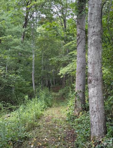 00000 Worley Cove Road Canton NC 28716