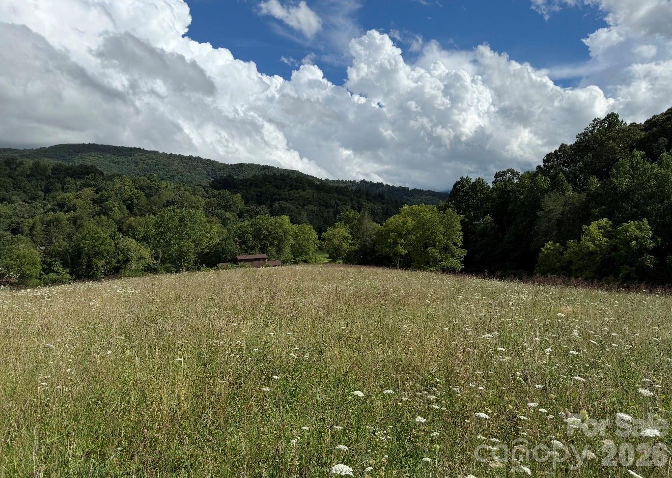 00000 Worley Cove Road Canton NC 28716