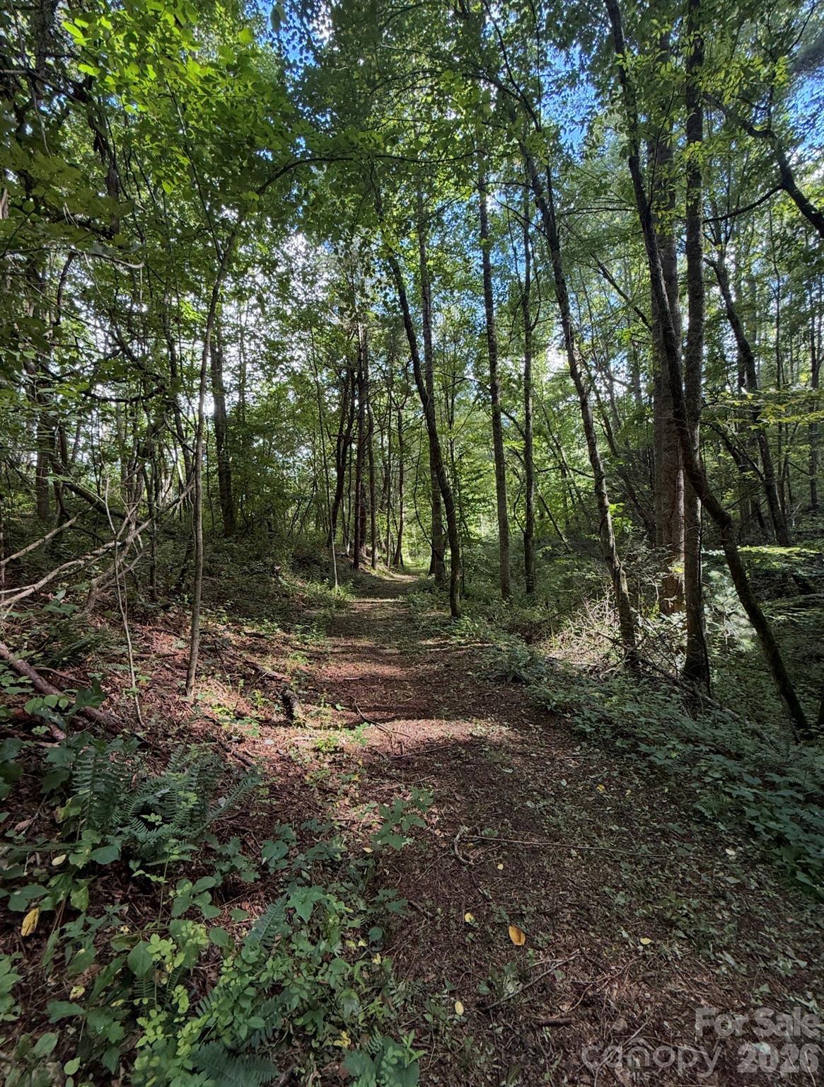 00000 Worley Cove Road Canton NC 28716