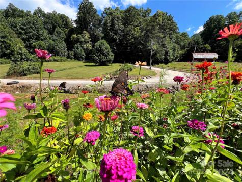 Lot 515 Curry Comb Trail Waynesville NC 28785