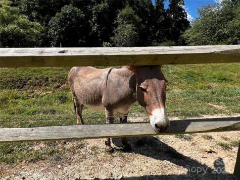Lot 515 Curry Comb Trail Waynesville NC 28785