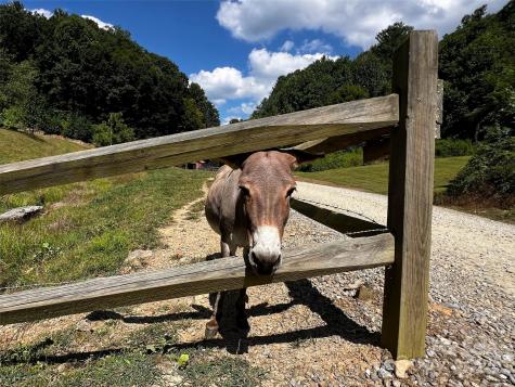 Lot 515 Curry Comb Trail Waynesville NC 28785