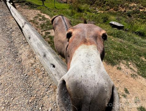 Lot 515 Curry Comb Trail Waynesville NC 28785