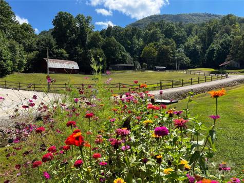 Lot 515 Curry Comb Trail Waynesville NC 28785