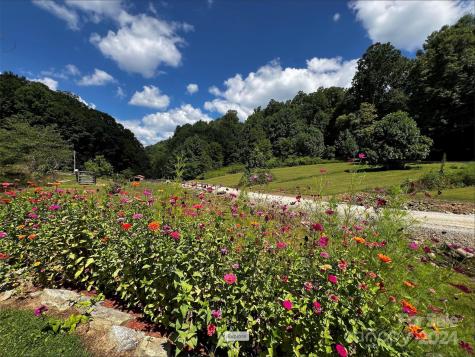 Lot 515 Curry Comb Trail Waynesville NC 28785