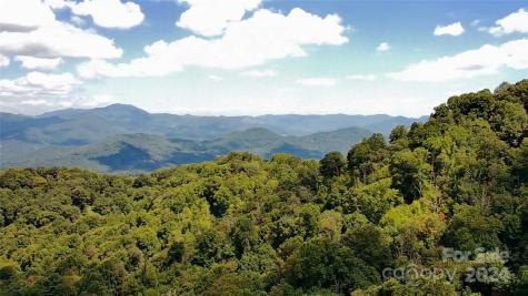 Lot 515 Curry Comb Trail Waynesville NC 28785