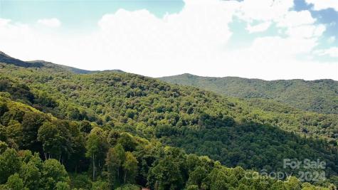 Lot 515 Curry Comb Trail Waynesville NC 28785