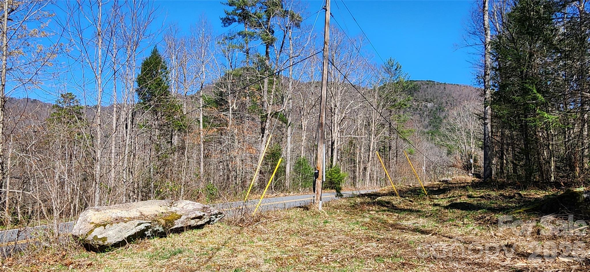 0 Buffalo Creek Road Lake Lure NC 28746