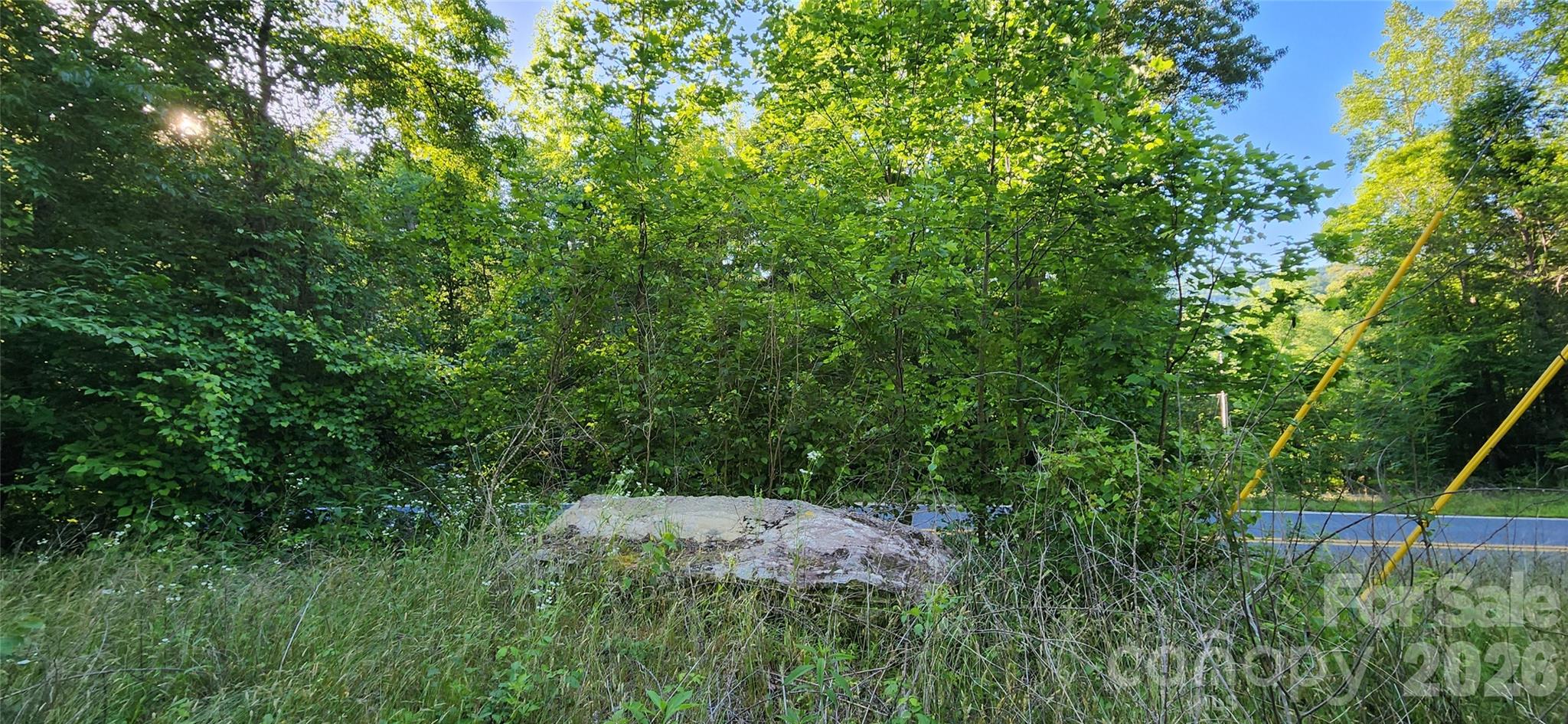 0 Buffalo Creek Road Lake Lure NC 28746