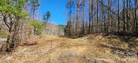 0 Buffalo Creek Road Lake Lure NC 28746