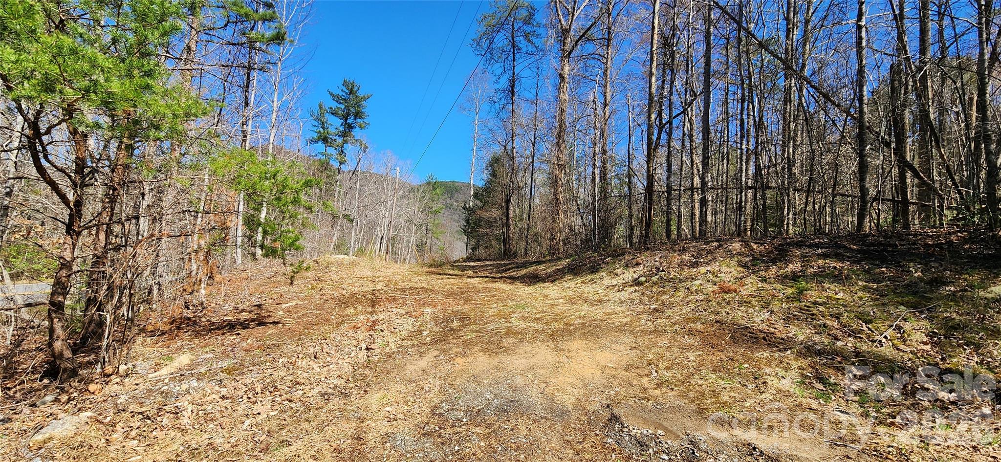 0 Buffalo Creek Road Lake Lure NC 28746