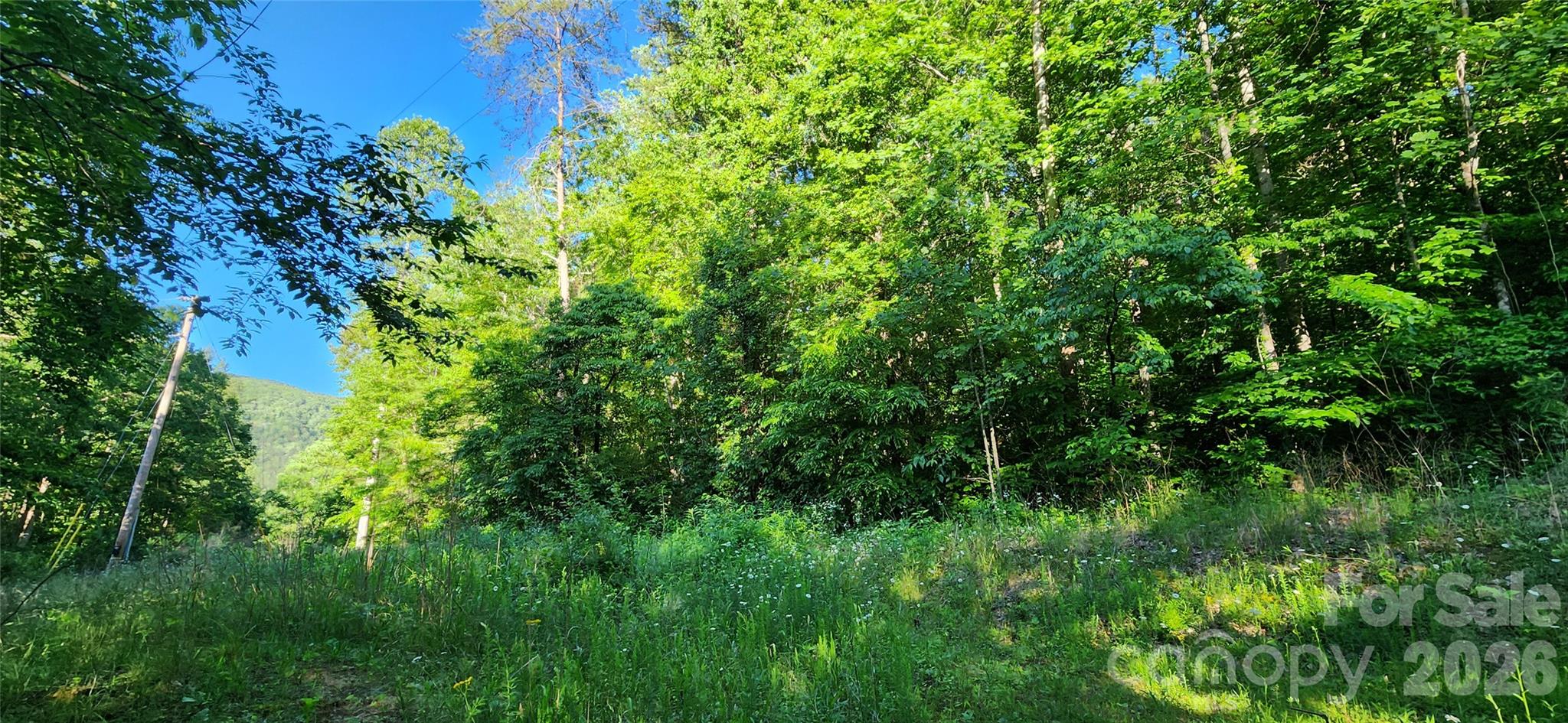0 Buffalo Creek Road Lake Lure NC 28746