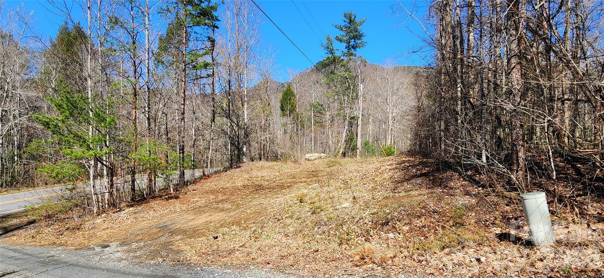0 Buffalo Creek Road Lake Lure NC 28746