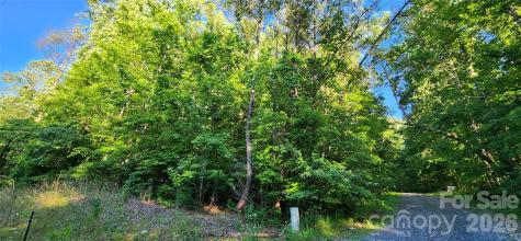 0 Buffalo Creek Road Lake Lure NC 28746