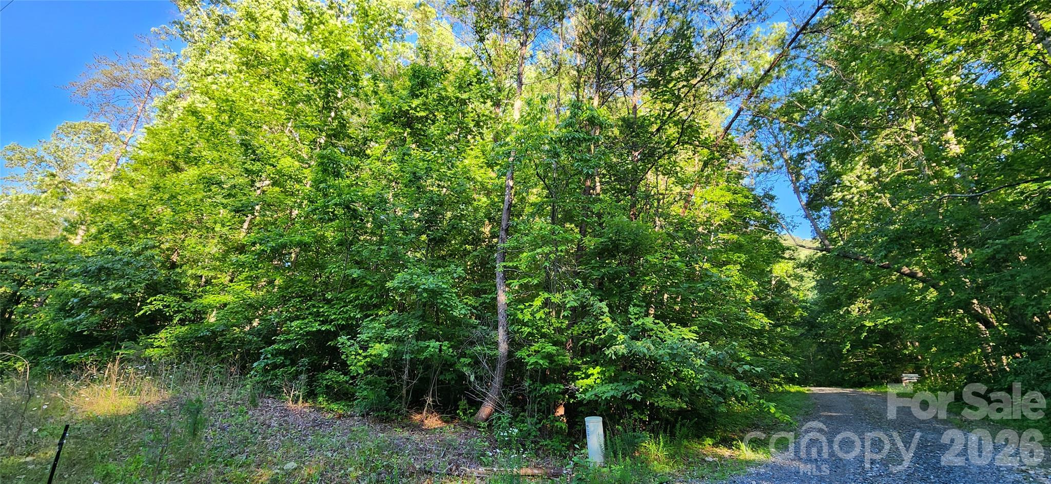 0 Buffalo Creek Road Lake Lure NC 28746