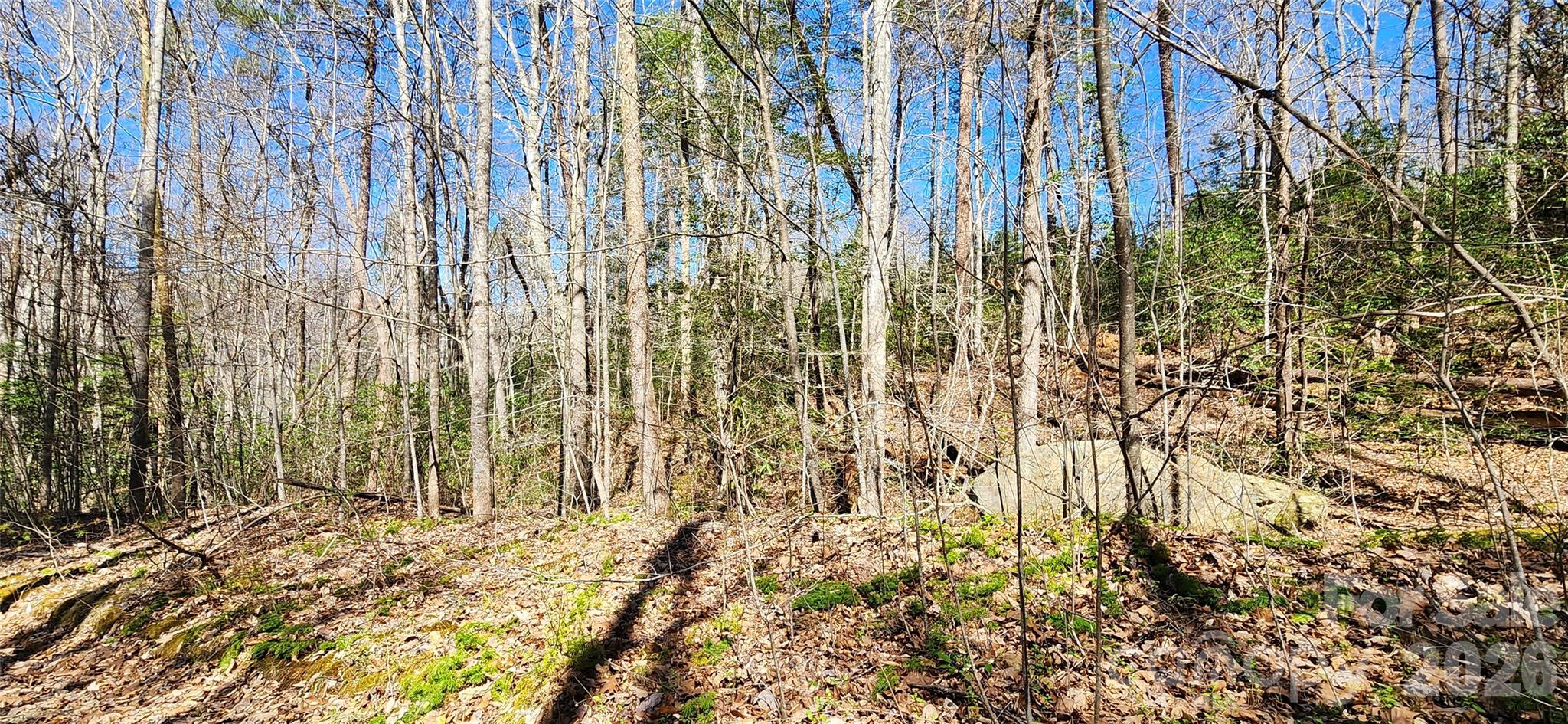 0 Buffalo Creek Road Lake Lure NC 28746