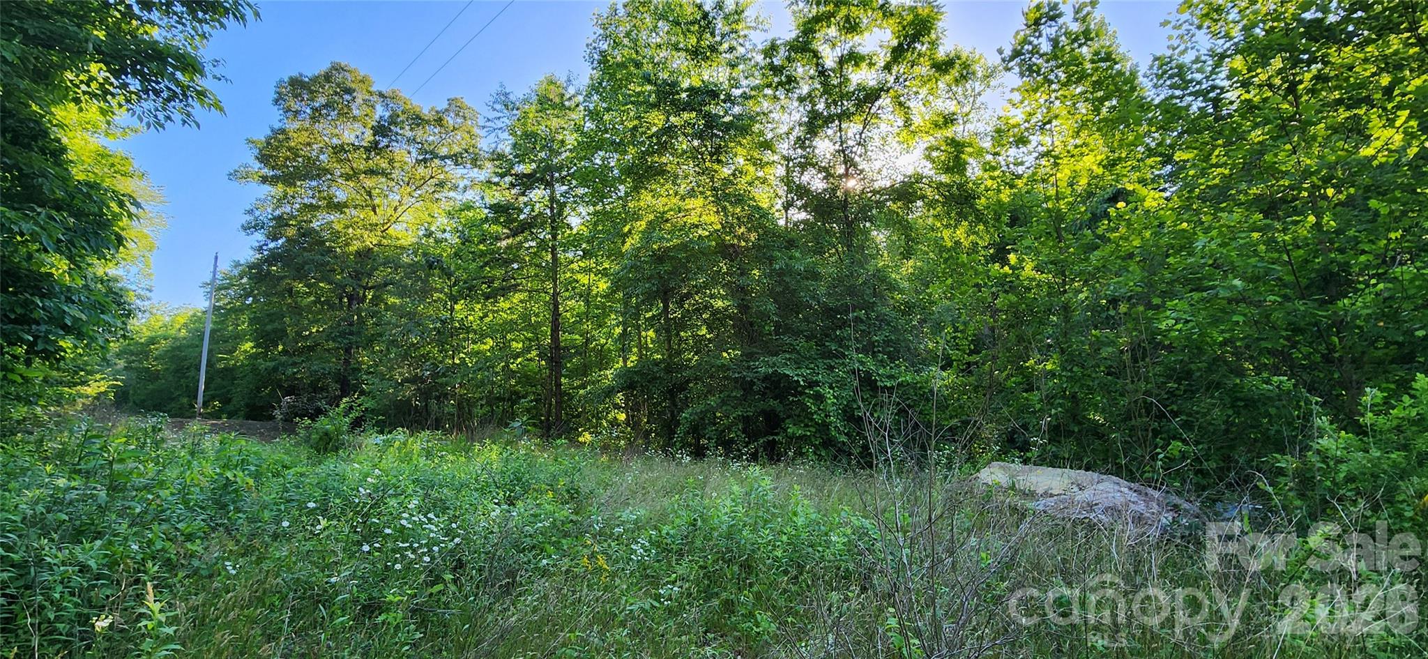 0 Buffalo Creek Road Lake Lure NC 28746