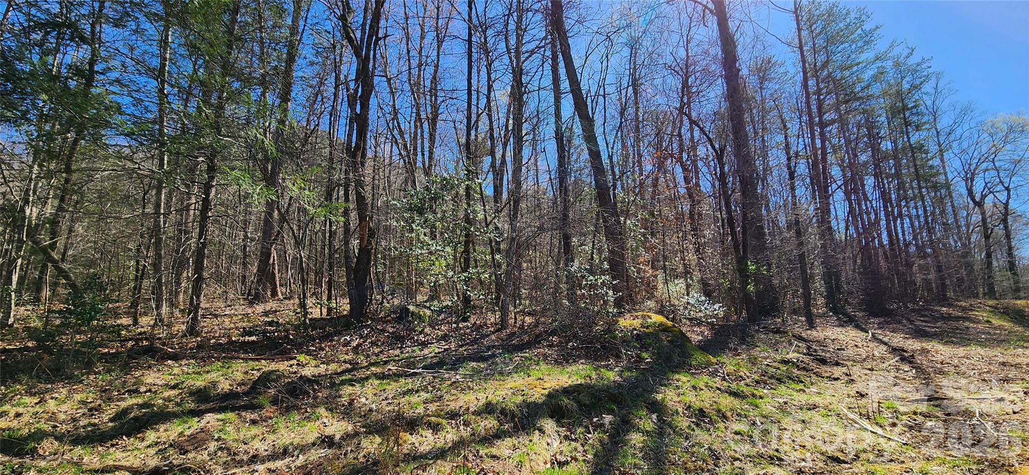 0 Buffalo Creek Road Lake Lure NC 28746