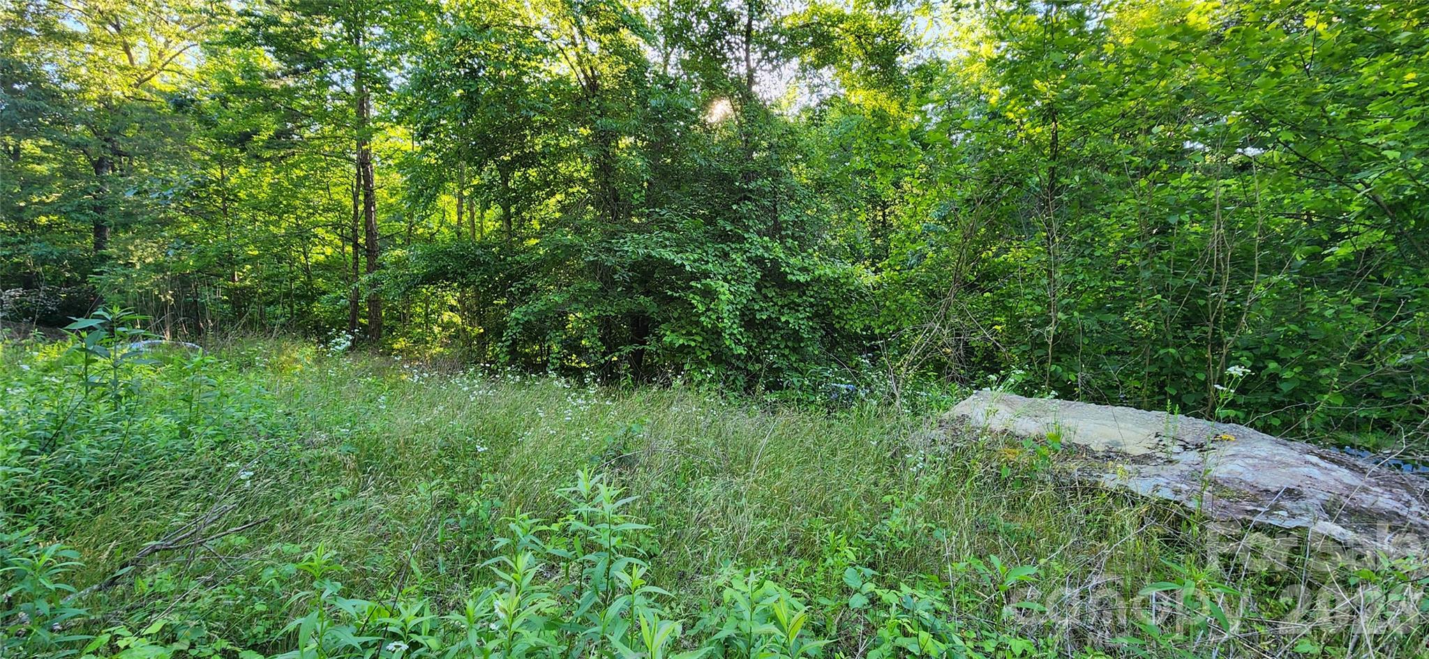 0 Buffalo Creek Road Lake Lure NC 28746