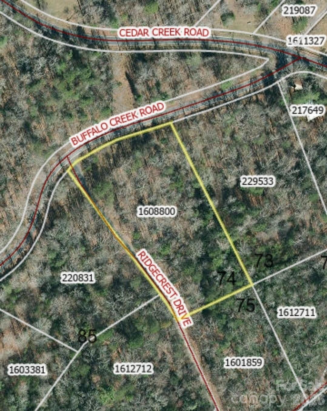 0 Buffalo Creek Road Lake Lure NC 28746