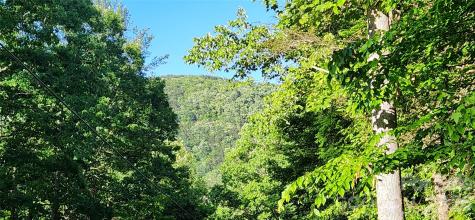0 Buffalo Creek Road Lake Lure NC 28746