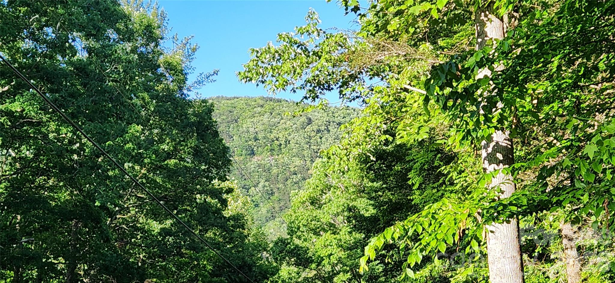 0 Buffalo Creek Road Lake Lure NC 28746