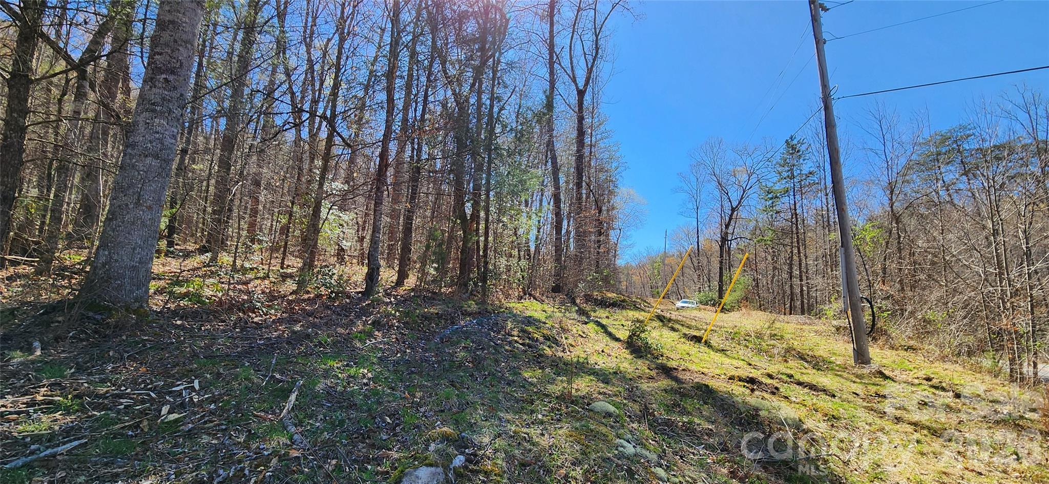 0 Buffalo Creek Road Lake Lure NC 28746