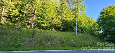 0 Buffalo Creek Road Lake Lure NC 28746