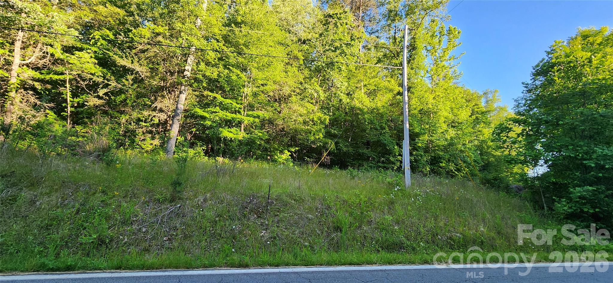 0 Buffalo Creek Road Lake Lure NC 28746