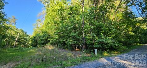 0 Buffalo Creek Road Lake Lure NC 28746