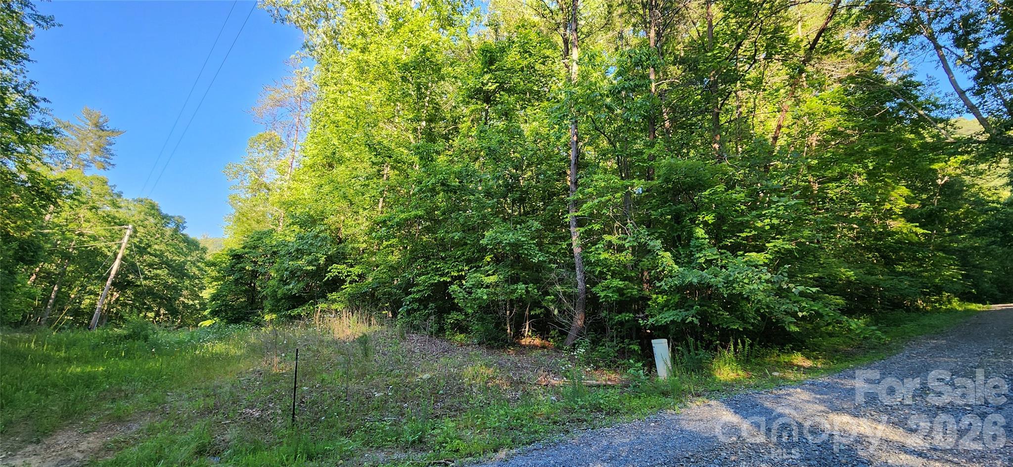 0 Buffalo Creek Road Lake Lure NC 28746